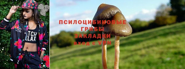 винт Алзамай