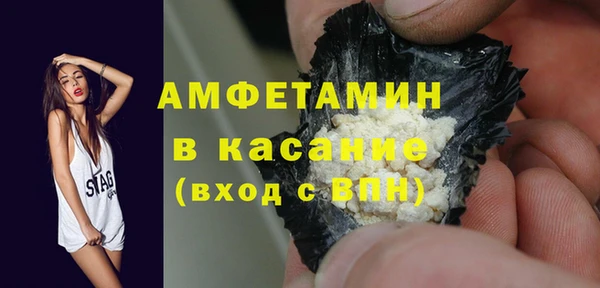 стаф Аркадак