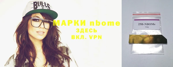 стаф Аркадак