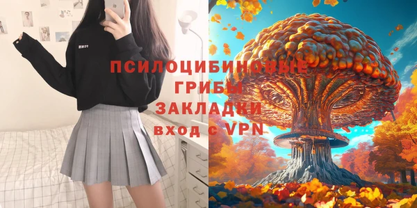 крисы Арсеньев
