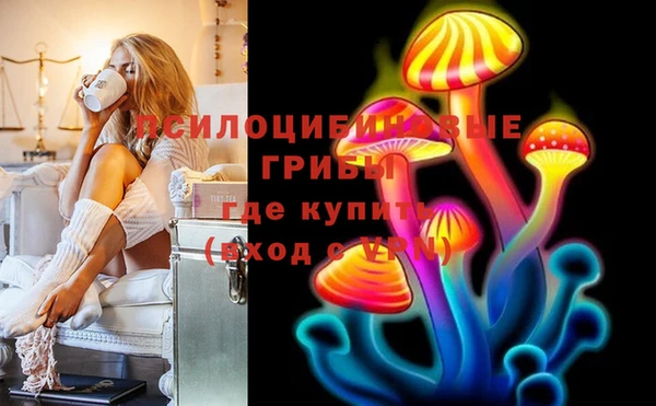 крисы Арсеньев