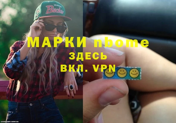 стаф Аркадак