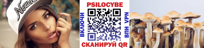 Псилоцибиновые грибы ЛСД  даркнет сайт  Петровск-Забайкальский 